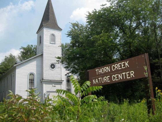 Image result for Thorn Creek Woods Nature Center Park Forest