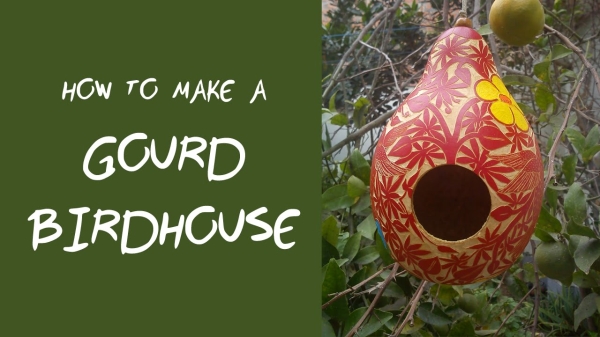 Gourd birhouse