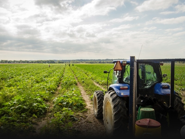 Agricultural worker