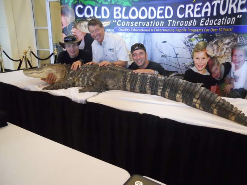 cold blooded creatures, jim nesci, steve and robby, swamp brothers