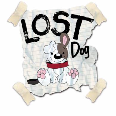 Lost dog