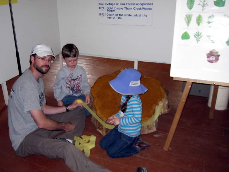 Measuring the stump of a 125-year-old white oak at Trees for Kids