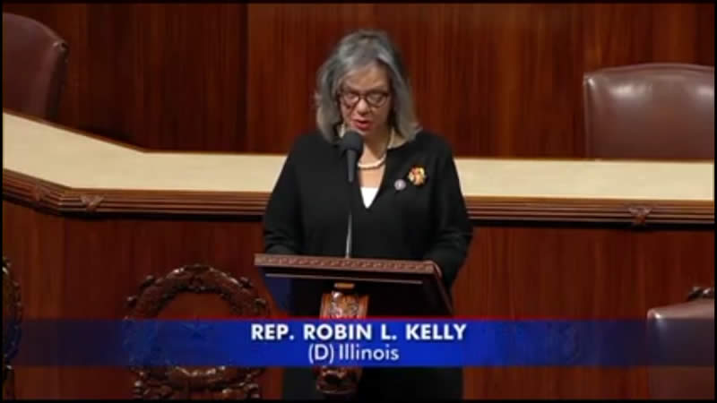 Robin Kelly House speech on gun violence.