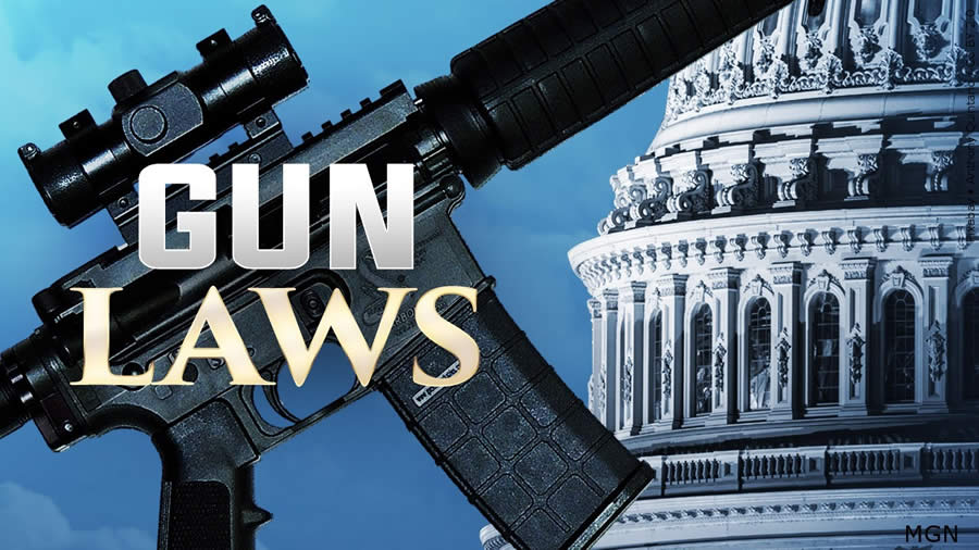 ATF Rule, gun control, gun laws, congress