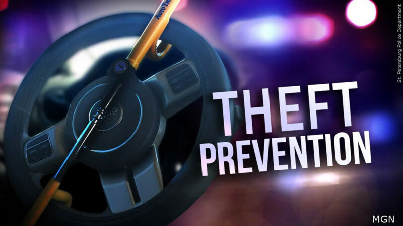 Auto car theft prevention