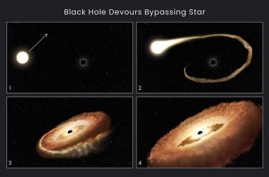 A black hole devouring a passing star