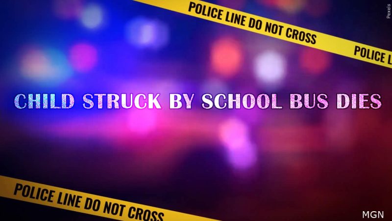 child struck by school bus dies