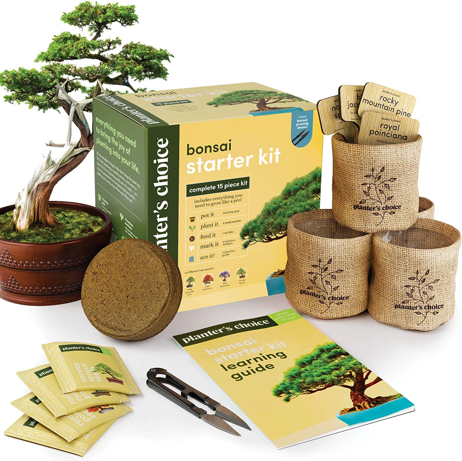 picture of a bonsai tree, with boxes, containers, and directions