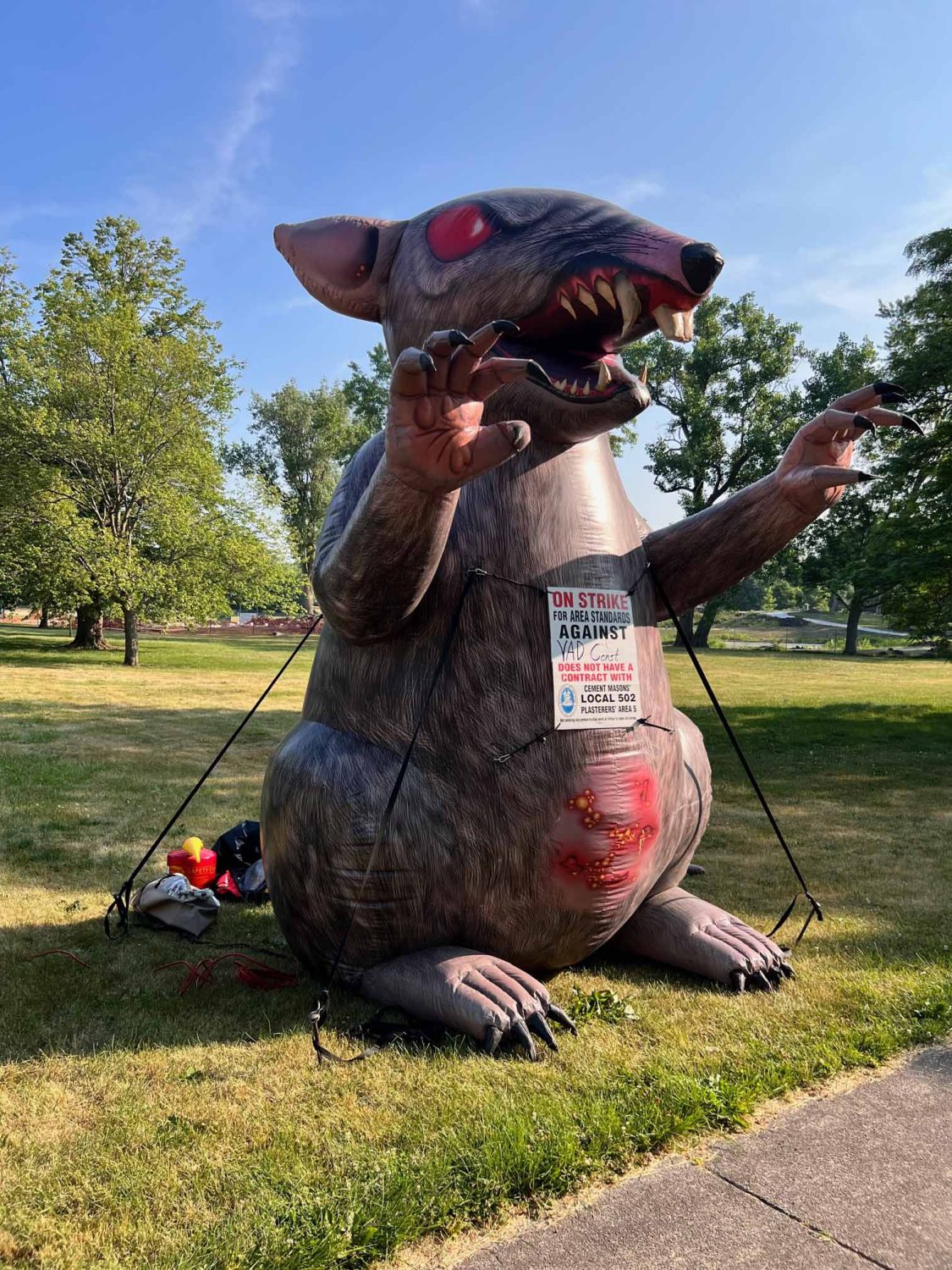 inflatable rat sitting on grass tied down by ropes