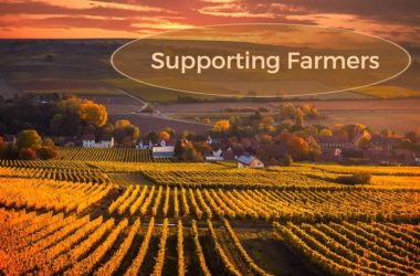 Supporting Illinois farmers