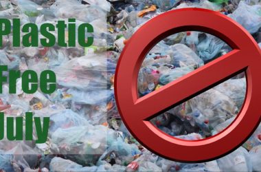 plastic free July