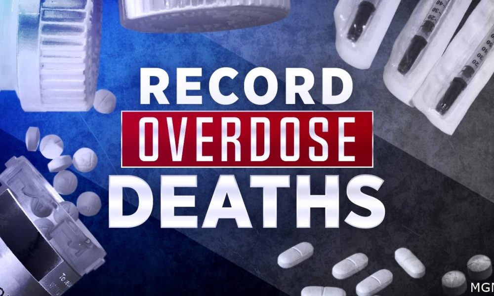 record overdose deaths