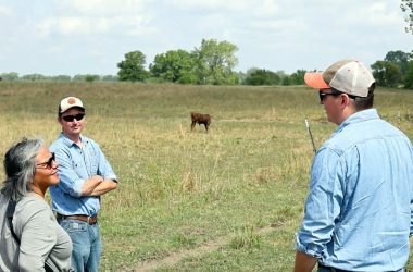 Congresswoman Kelly surveys cattle at the Cow Creek Farm in Paxton, IL