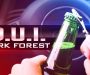 How a University Park Man Secured a DUI Charge in Park Forest