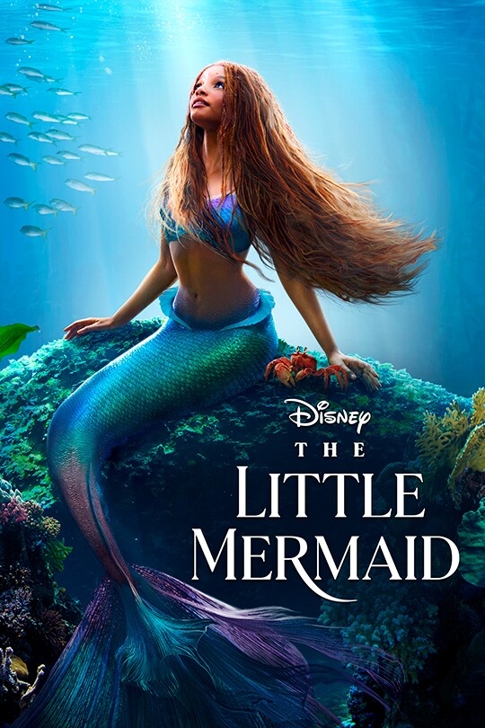 image of mermaid sitting on coral reef underwater