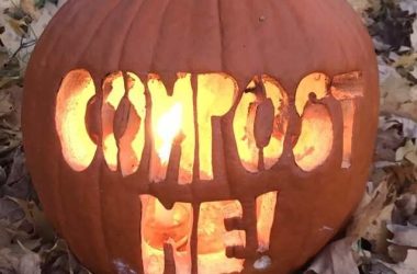 pumpkin smash, compost me carved into a pumpkin