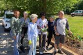 pollinators at Birch Street Townhomes, Dominic Balmaseda