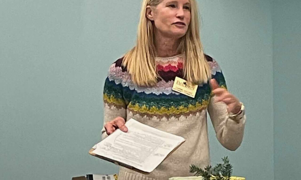 Park Forest Sustainability Coordinator Carrie Malfeo gave tips on having an environmentally friendly holiday at the Park Forest Public Library