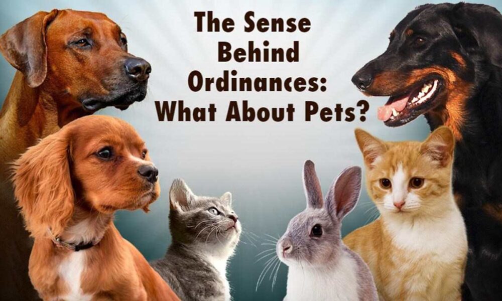 village ordinances, pets, sense