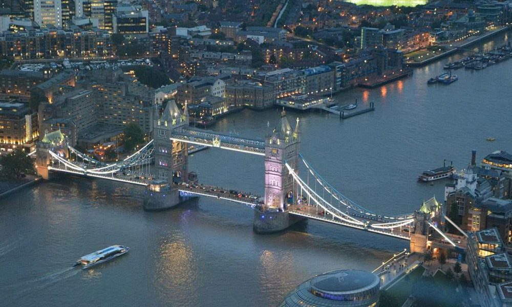 Bears London, England, Photo Date: 11/05/2016