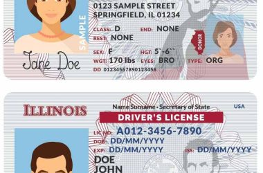 fake IL driver's licenses, driver felt entrapped