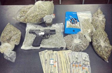 defaced firearm, cannabis, psilocybin mushrooms