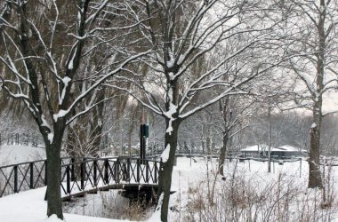 Winter Wonderland in Central Park
