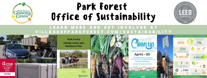 Annual Community Cleanup