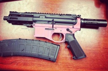 AR-15 pistol, Park Forest police