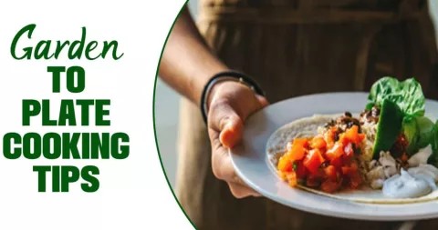 photo of a person holding a plate of food